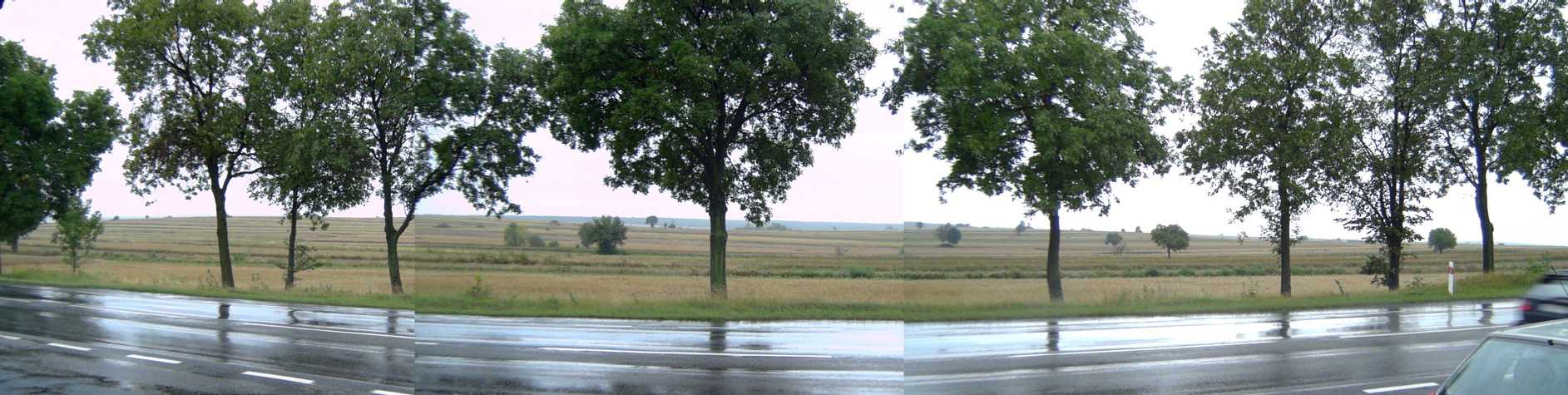 Polish countryside